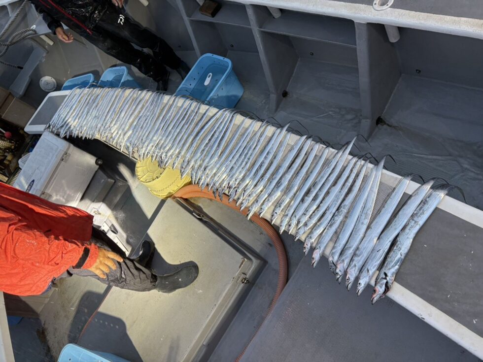 凄過ぎ!3時間釣れっぱなし!