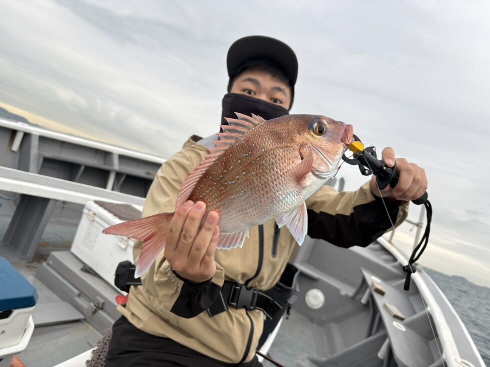 真鯛、1日アタリっぱなし!