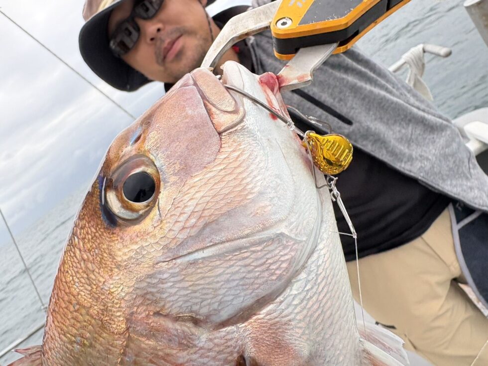 超ライトタックルで楽し過ぎる!