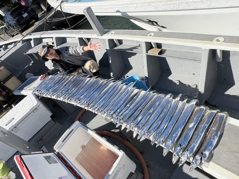 名手は今日も凄過ぎ!