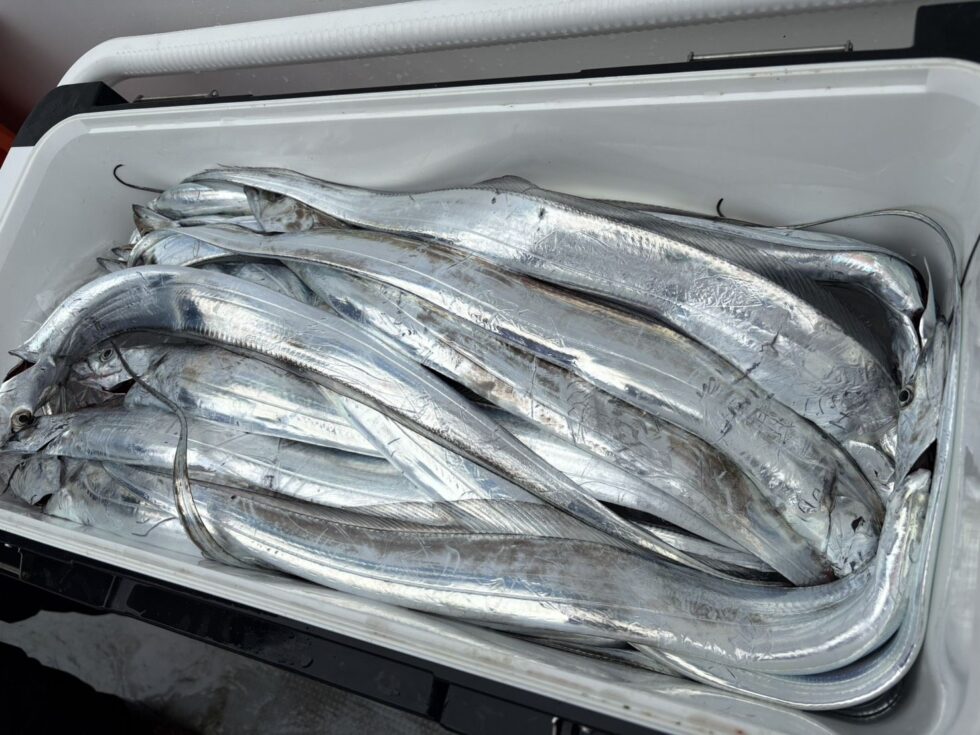 泰丸のお嫁さんテンタチ初挑戦でお見事でした。