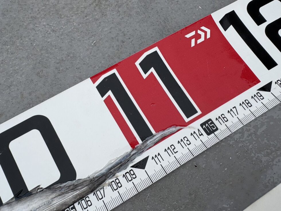 テンヤタチウオ専門!大型ゲットー!