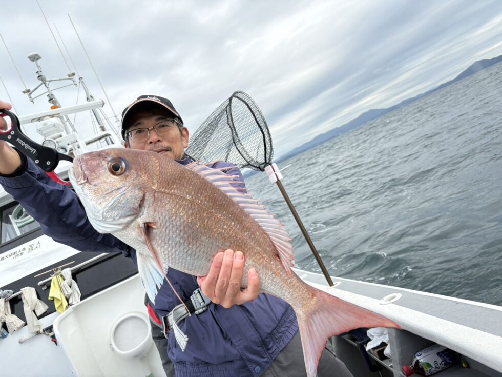 マダイ50㎝超え続出!