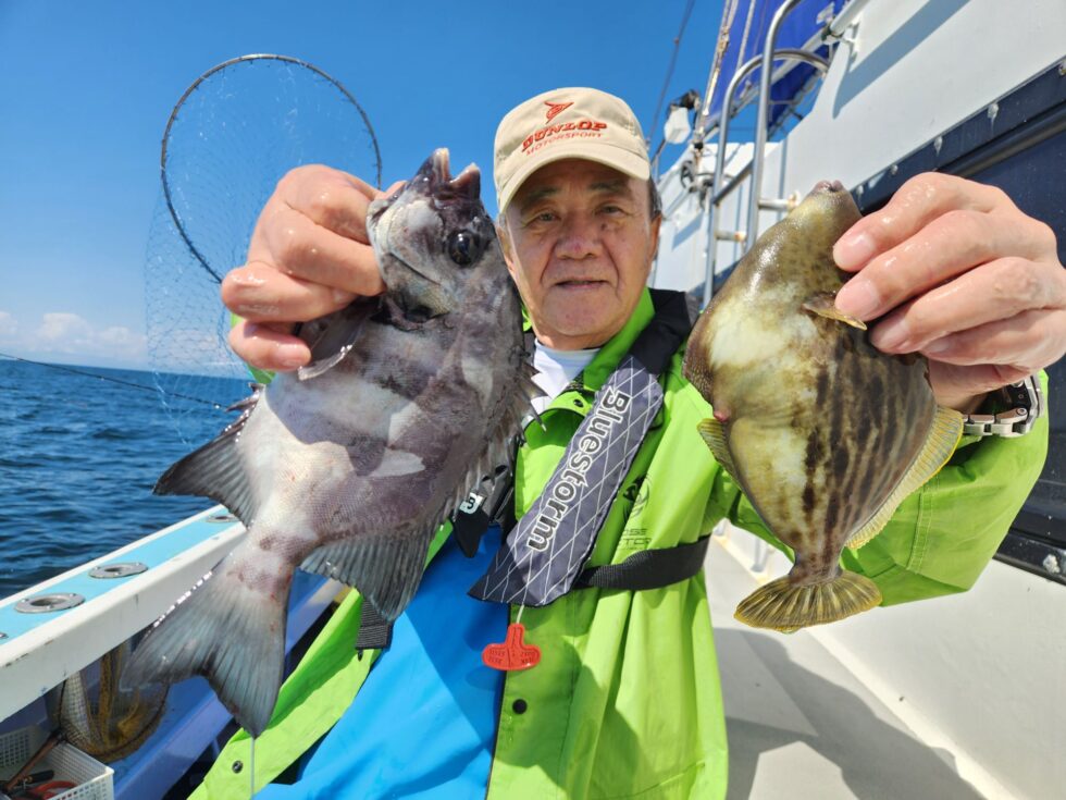 高級魚サンバソウ！