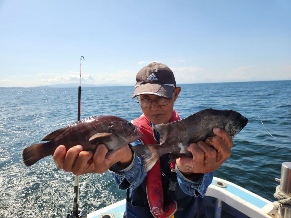 マハタ&サンバソウ！