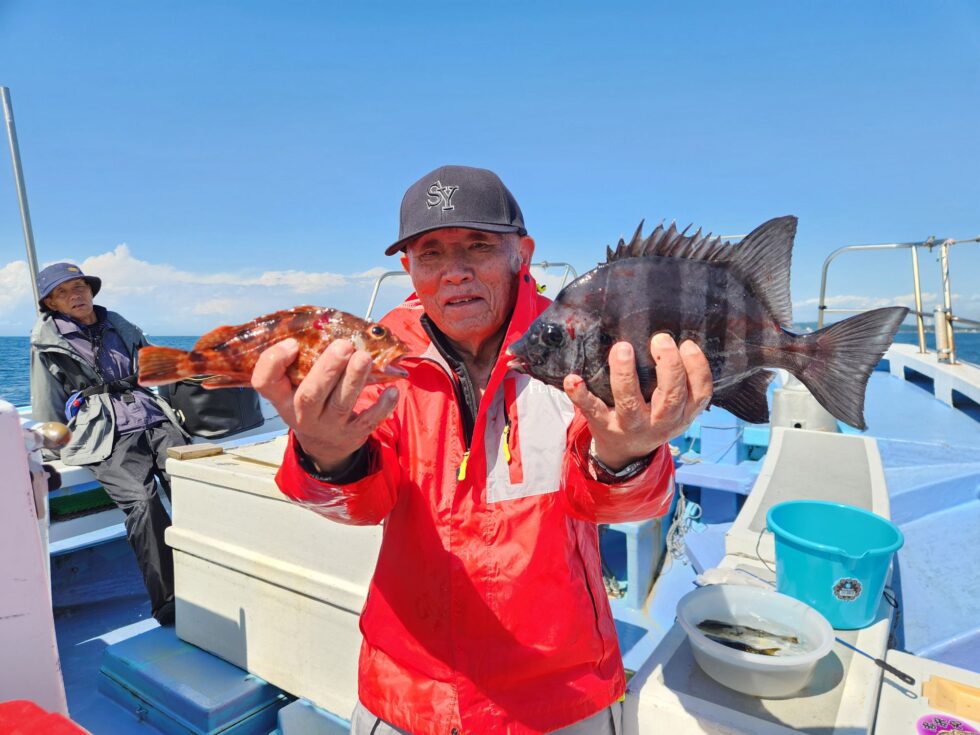 ウタセ五目出船！活きウタセエビたっぷり入荷！