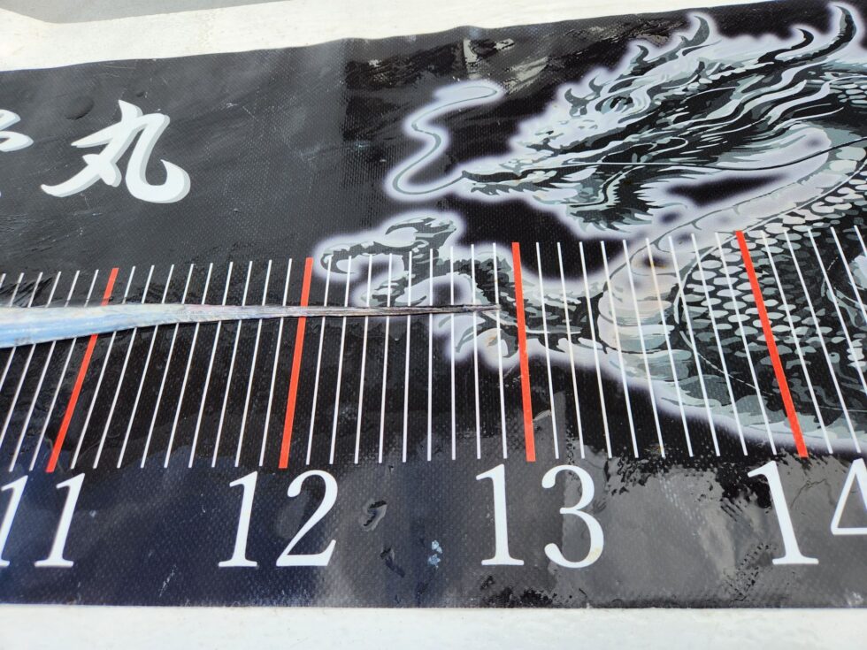 129㎝ドラゴン強烈でしたね。