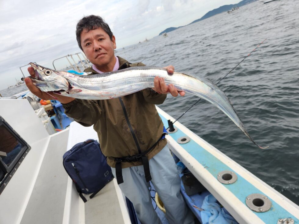 伊良湖水道タチウオ、連日凄い事になってますよ
