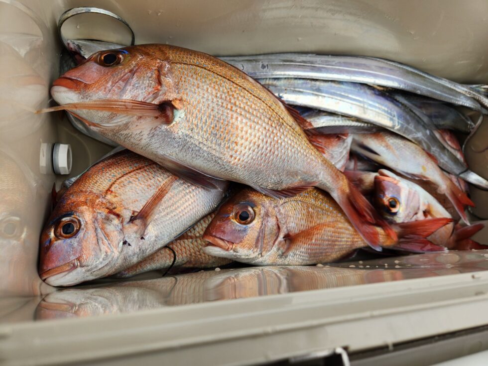 たくさんのおすそわけありがとうございます!