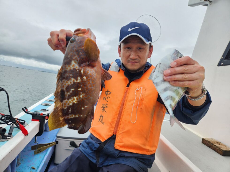 連日のキジハタ!