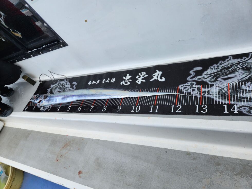 135㎝スーパードラゴン!