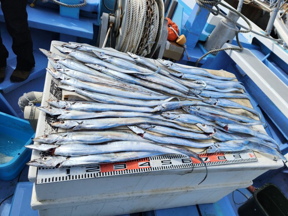 おすそわけありがとうございます!