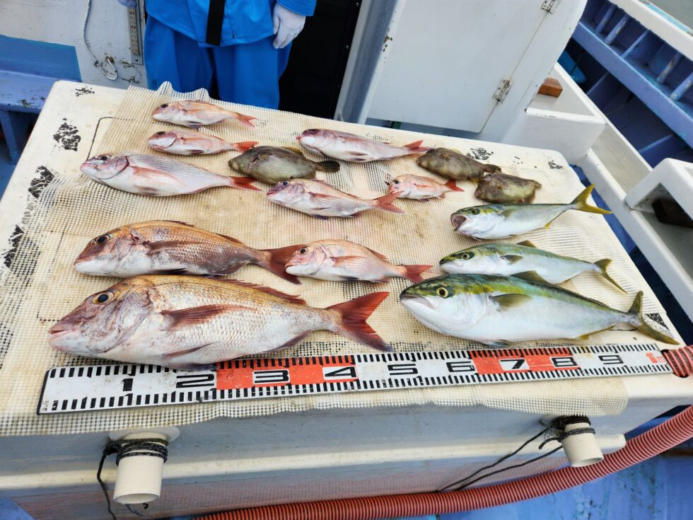 素晴らしい釣果！