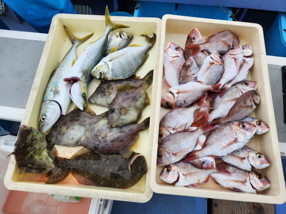 ウタセ五目船も凄い1日でした!