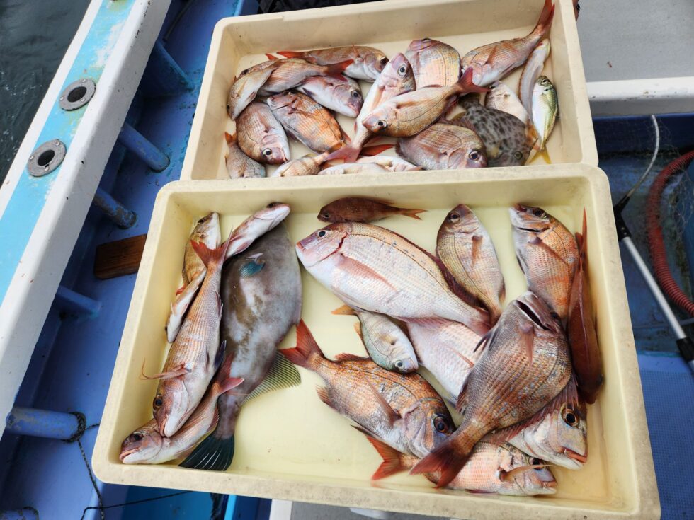 ウタセ五目釣り多彩！