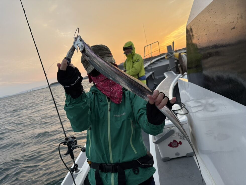 午後ショート便タチウオ！