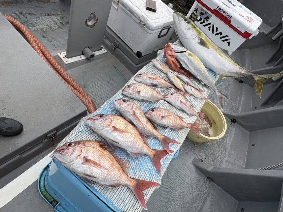 一つテンヤ真鯛釣り予約受付中!