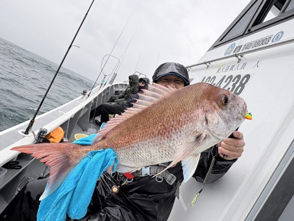 一つテンヤ真鯛釣り出船!今シーズン最大73㎝登場でした!