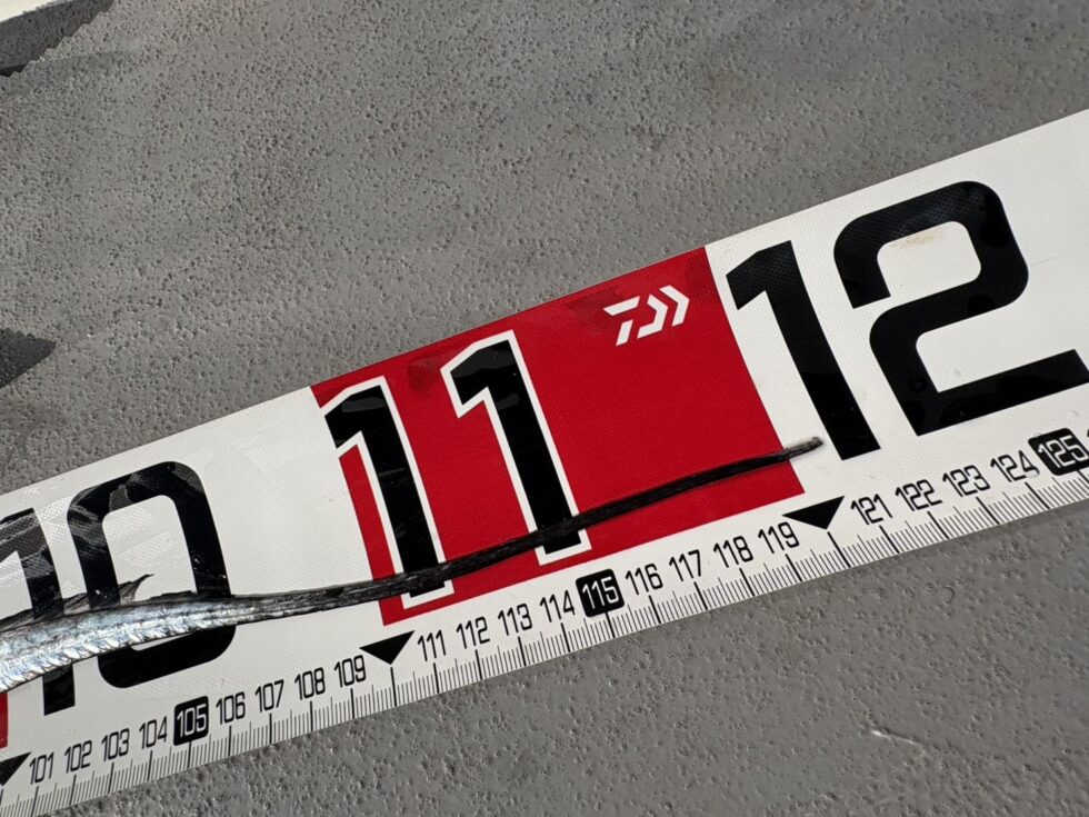 ドラゴン復活っ!