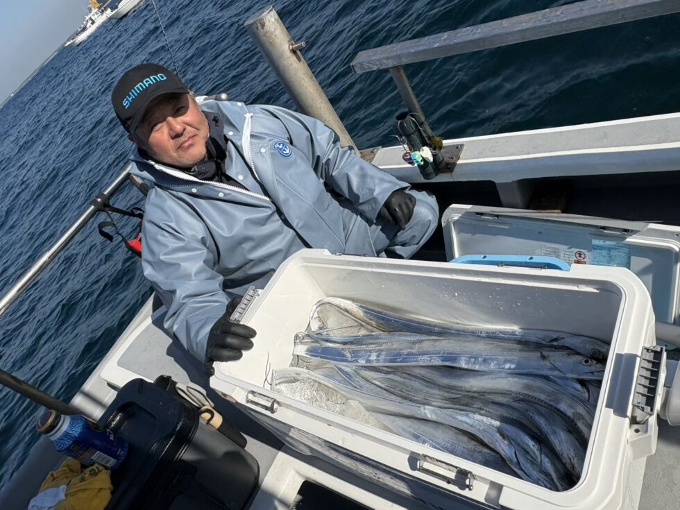 数もあがりました！