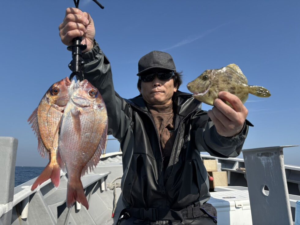 人気急上昇中！