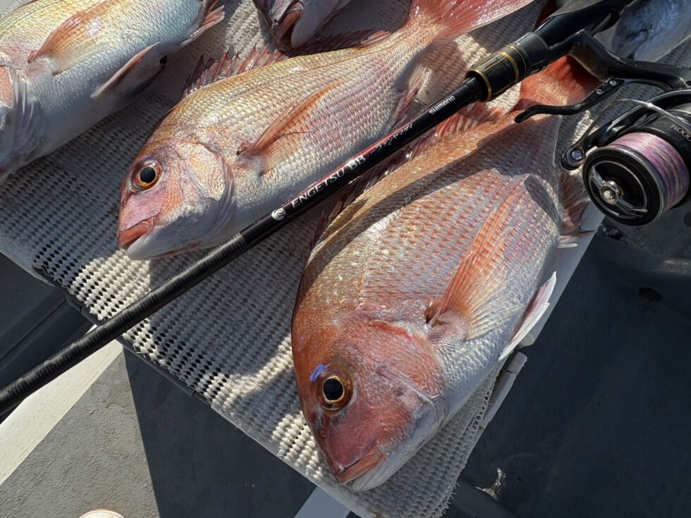 忠栄丸レンタルタックルも同じですよ。是非ご利用下さい