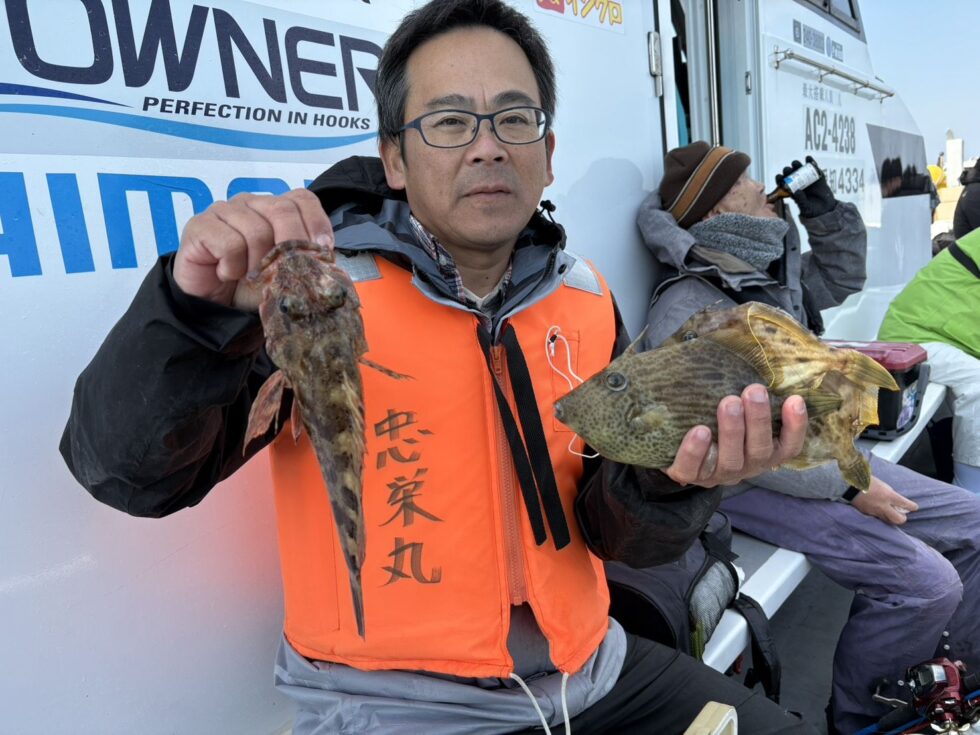 活きウタセエビ捕れなくなったらウタセ五目終了しますので早めの釣行を！