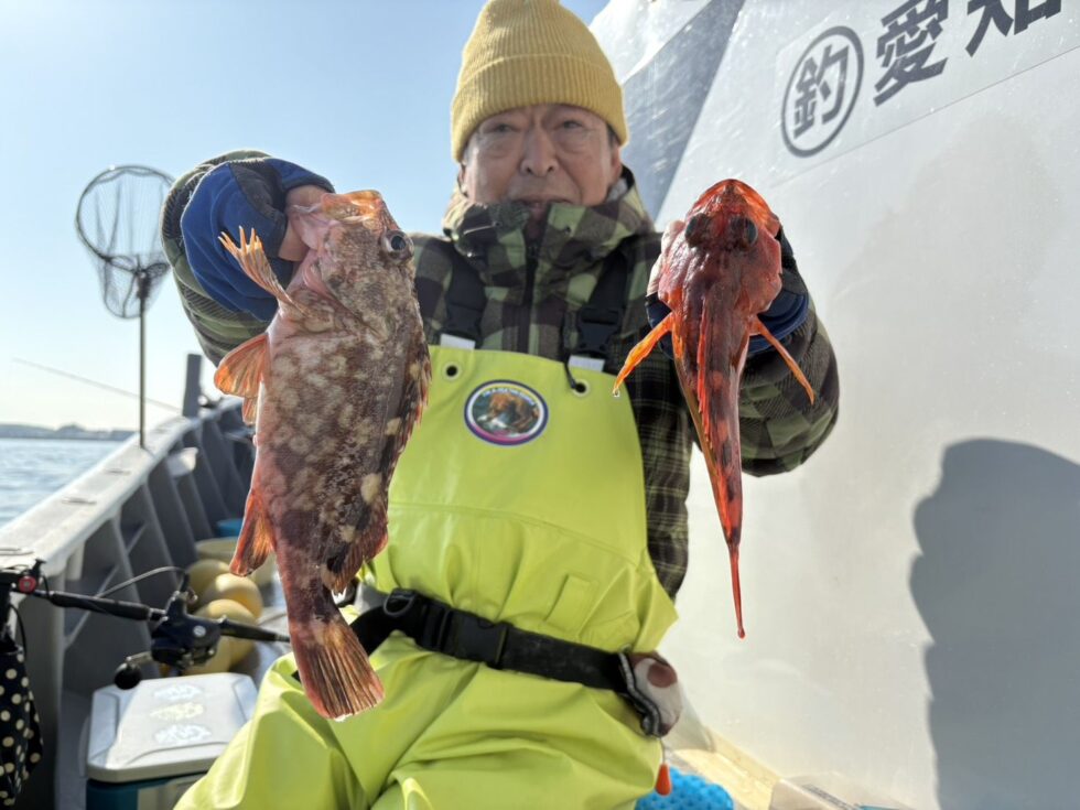 ジャンボカサゴ!