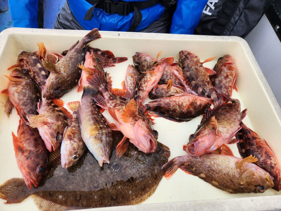 ウタセ五目予約受付中！