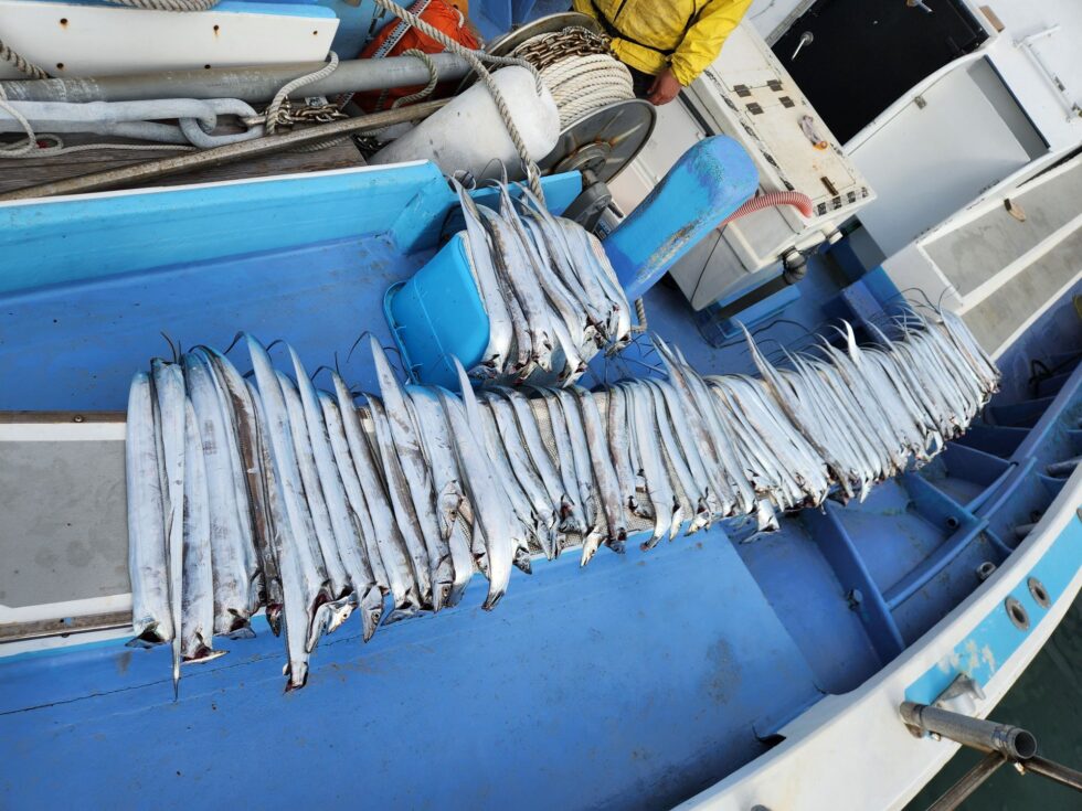 終日入れ食い状態！