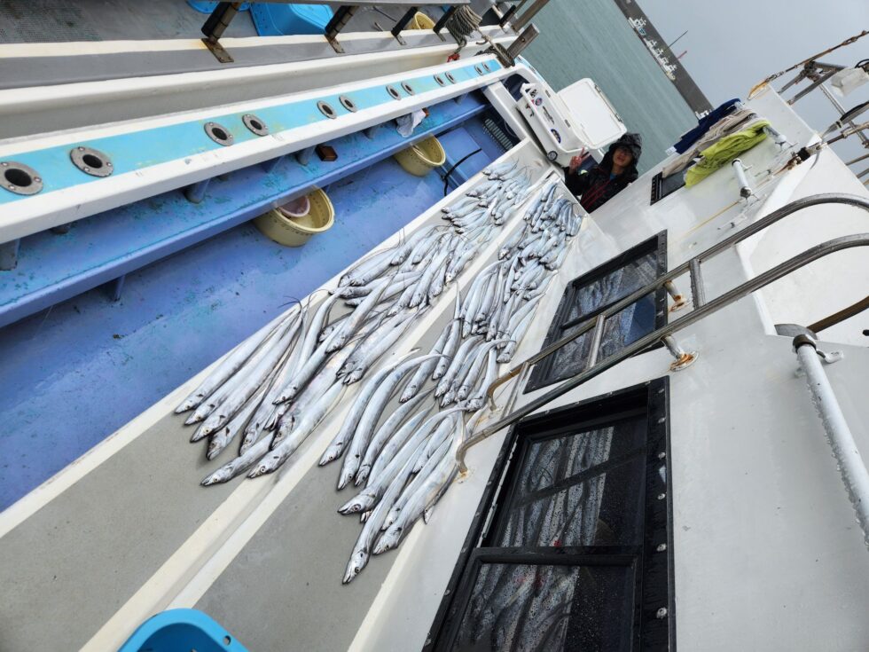 一つテンヤ真鯛船、タチウオ船、ウタセ五目船、予約受付中!