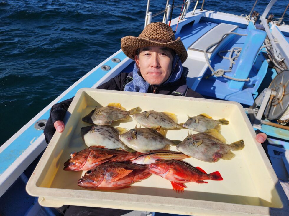 カワハギが良いっ!