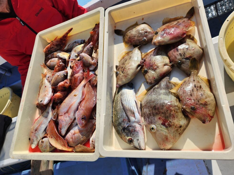 終日入れ食い状態！