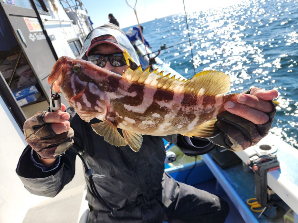 明日(金)イワシ泳がせ船空き多数、朝の飛び入りOK
