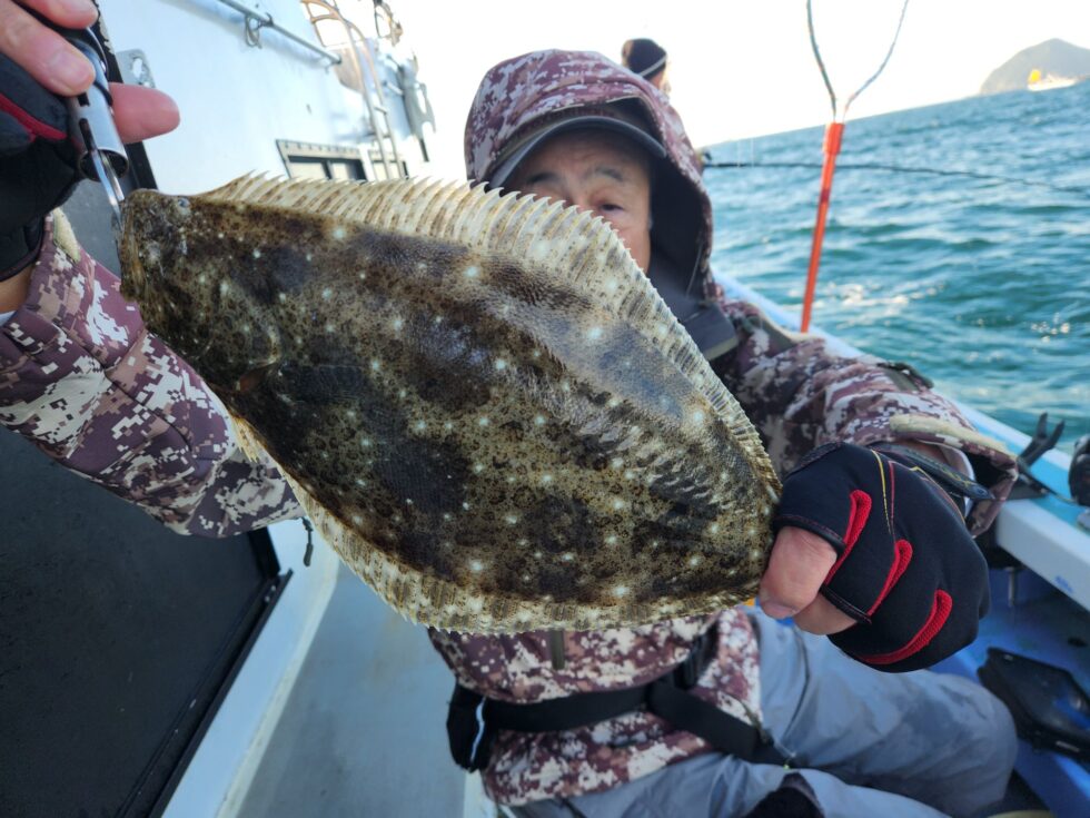 イワシ泳がせ船！