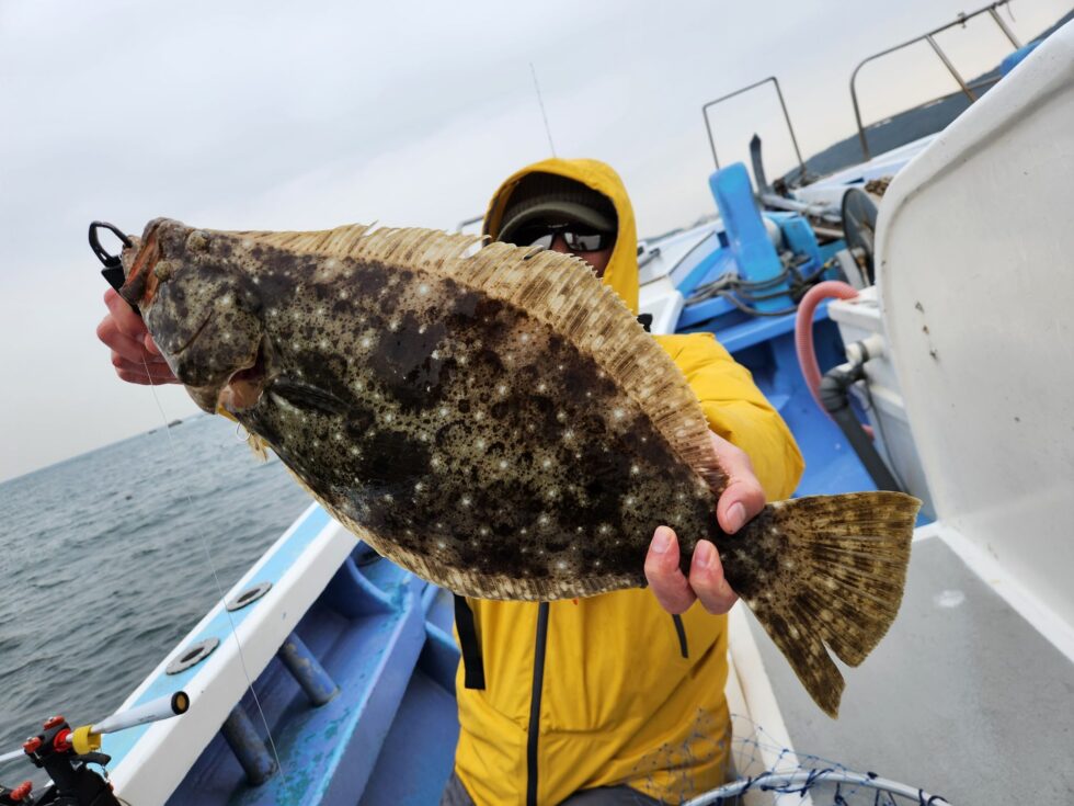 イワシ泳がせ出船！