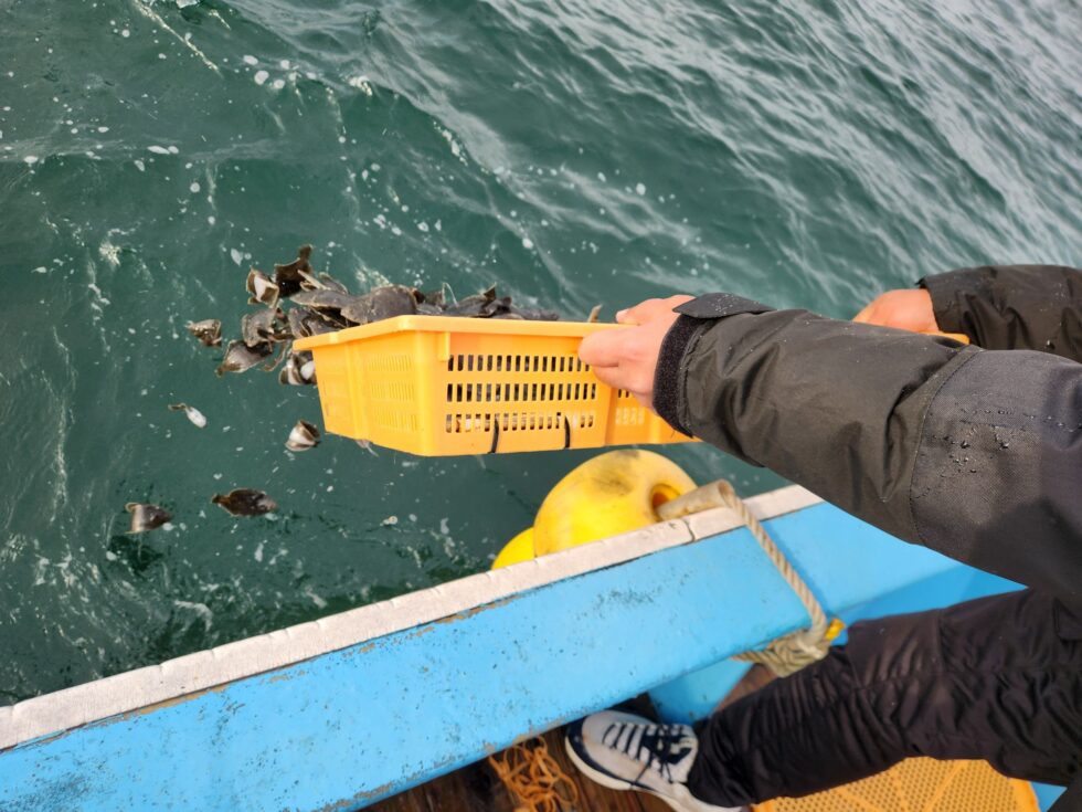 明日(水)は休船します、明後日(木)出船ですので予約お待ちしてます。