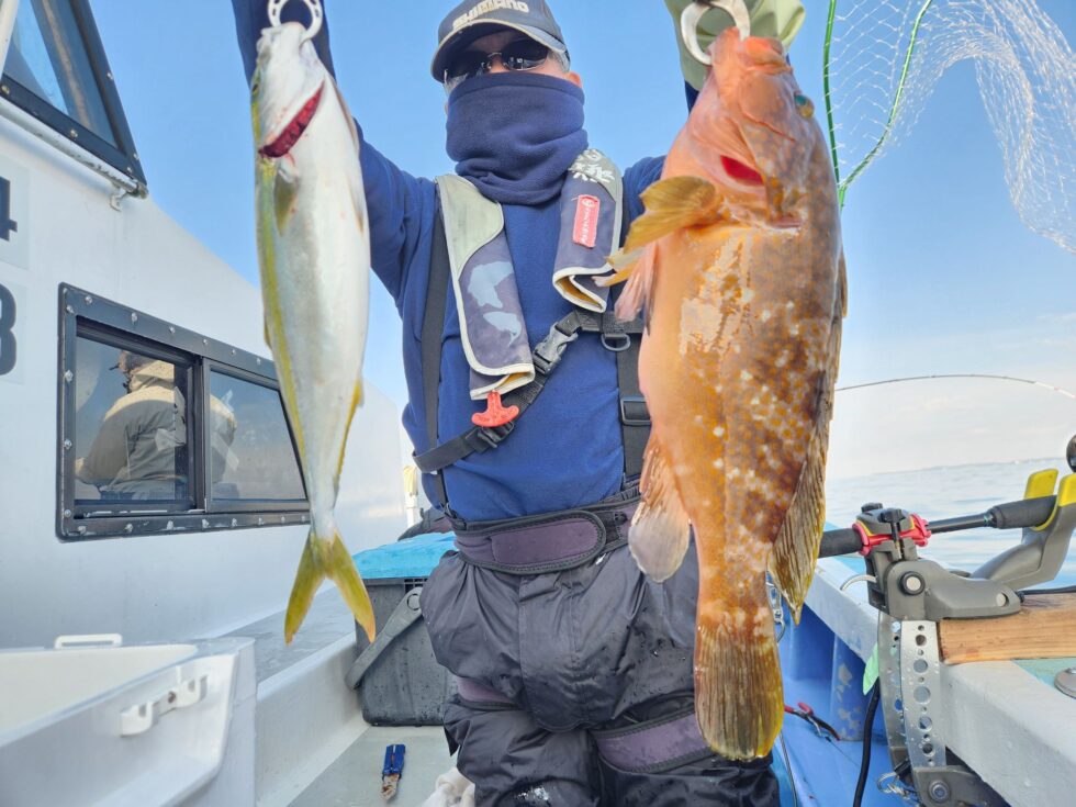 青物、キジハタ!