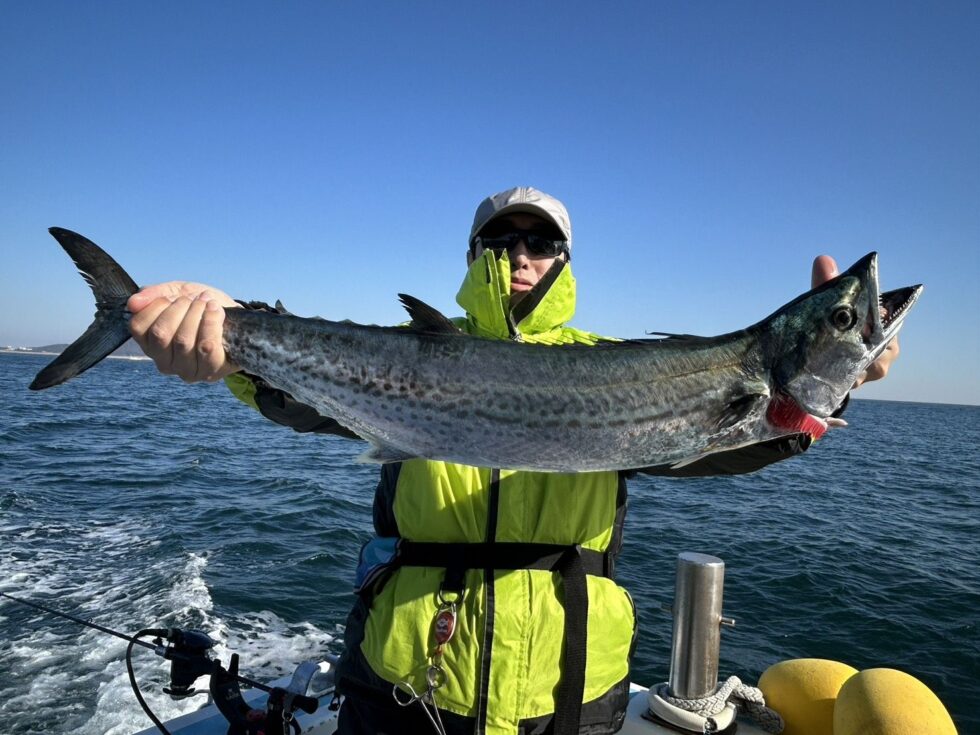 大型サワラが嬉しい！