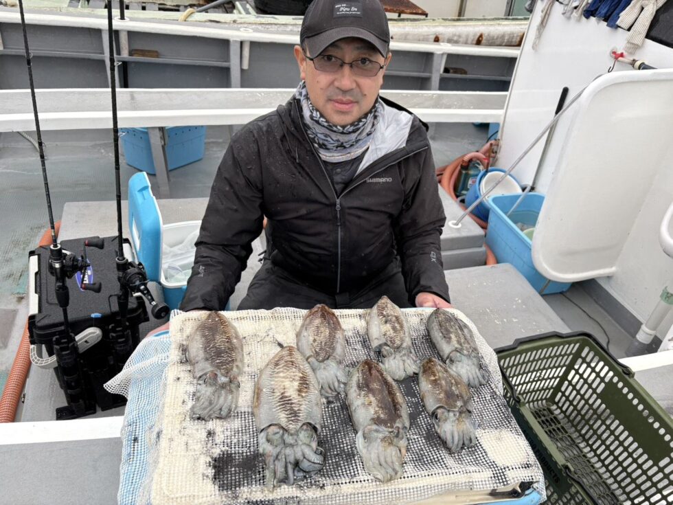 肉厚コウイカが凄い！