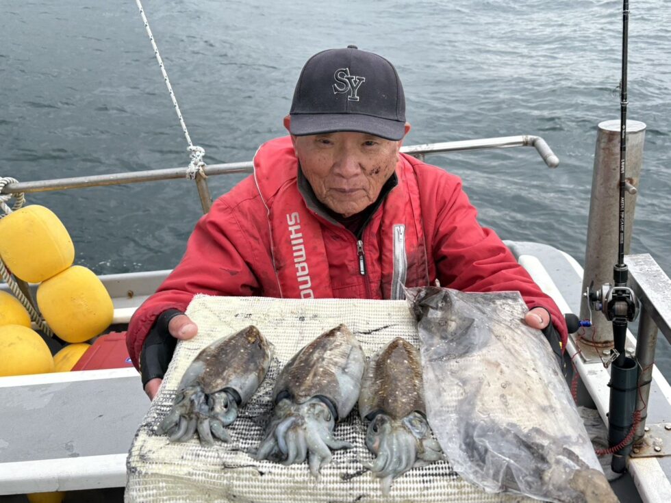 絶品コウイカチャンス！