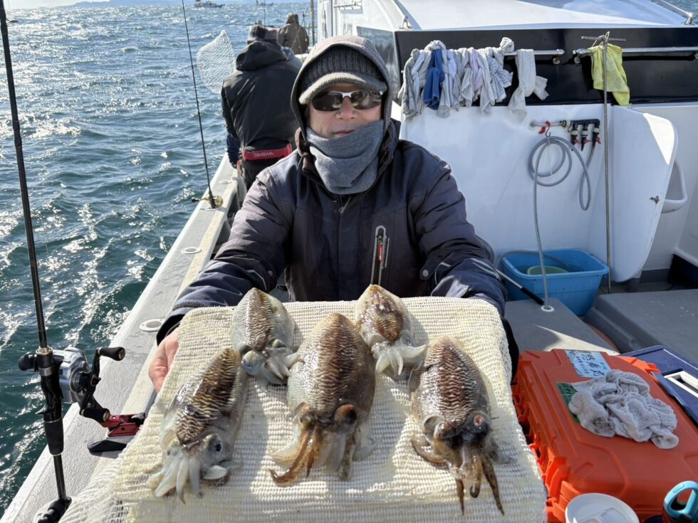 絶品コウイカチャンス！