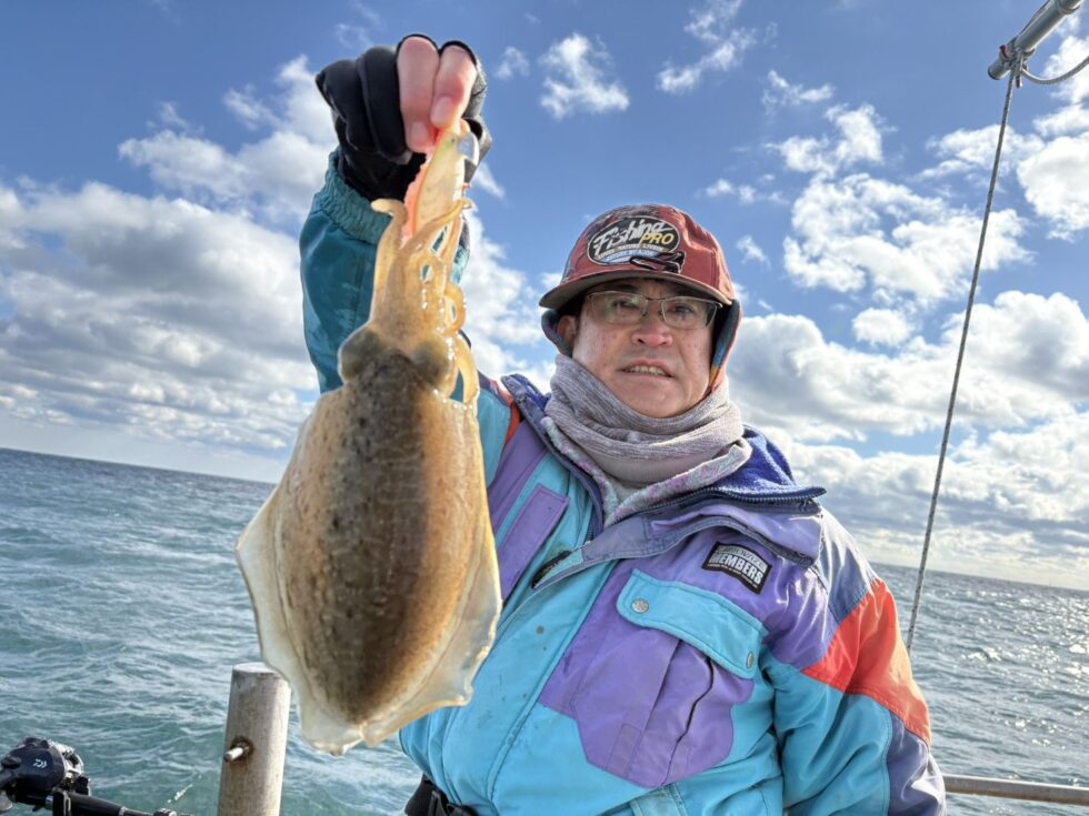 肉厚コウイカ！