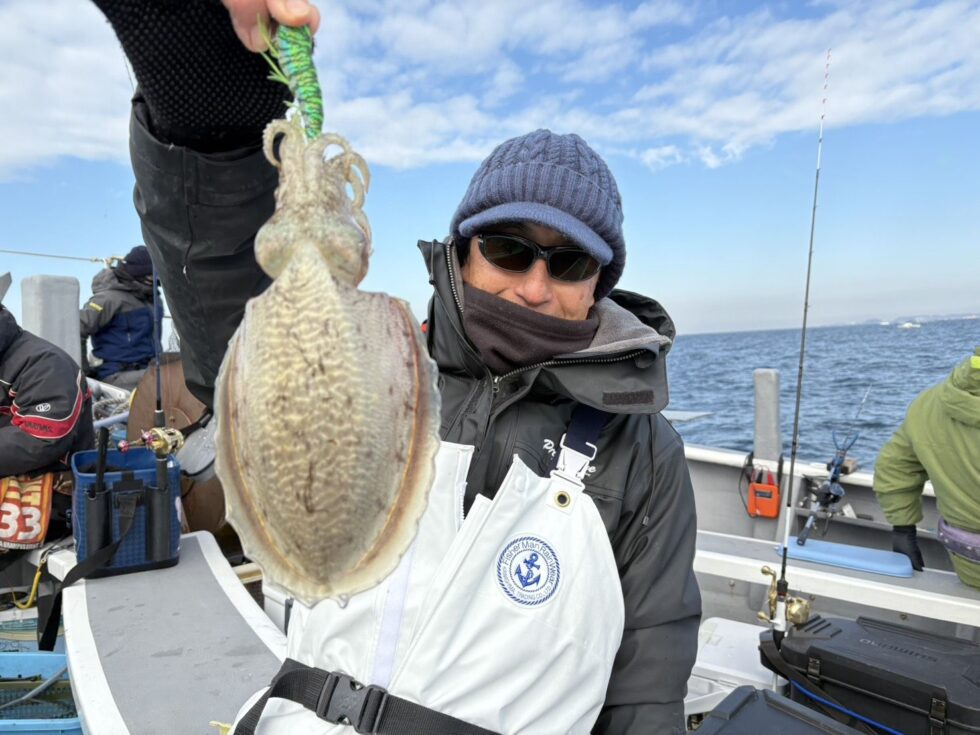 コウイカ大人気!