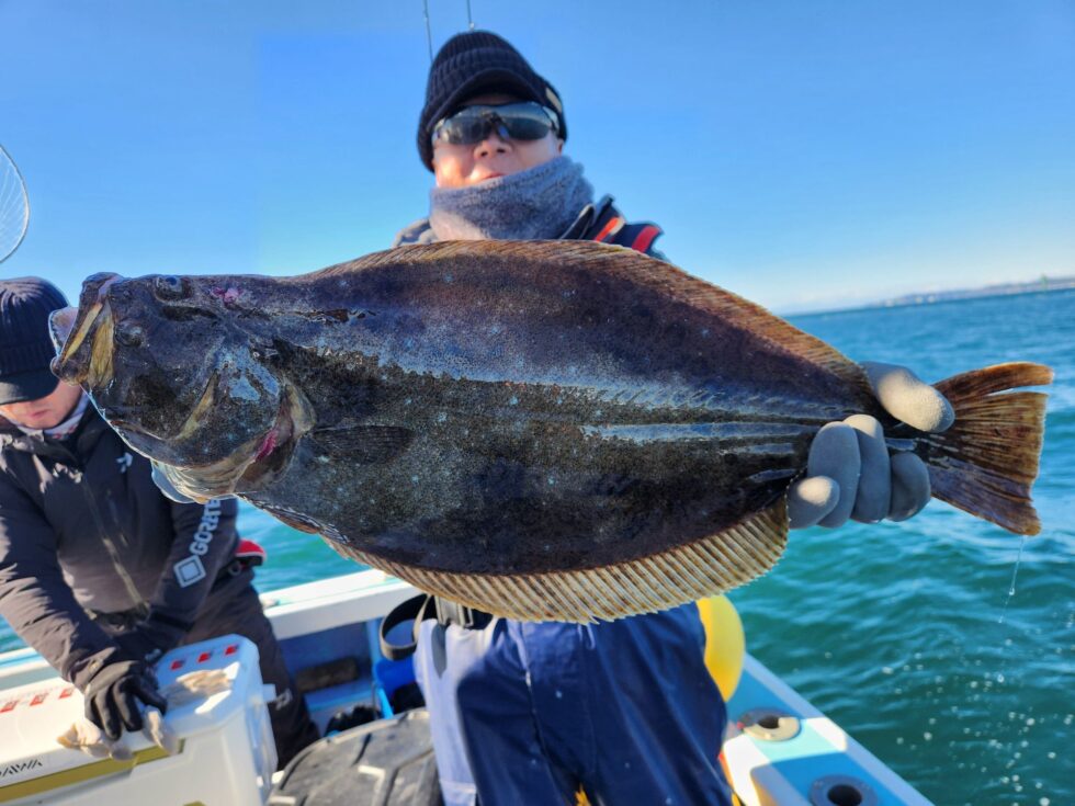 ヒラメチャンス!