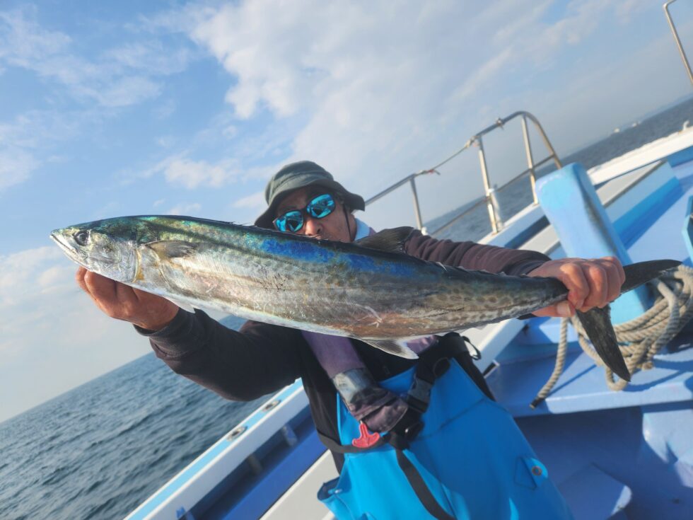 大人気のサワラ!