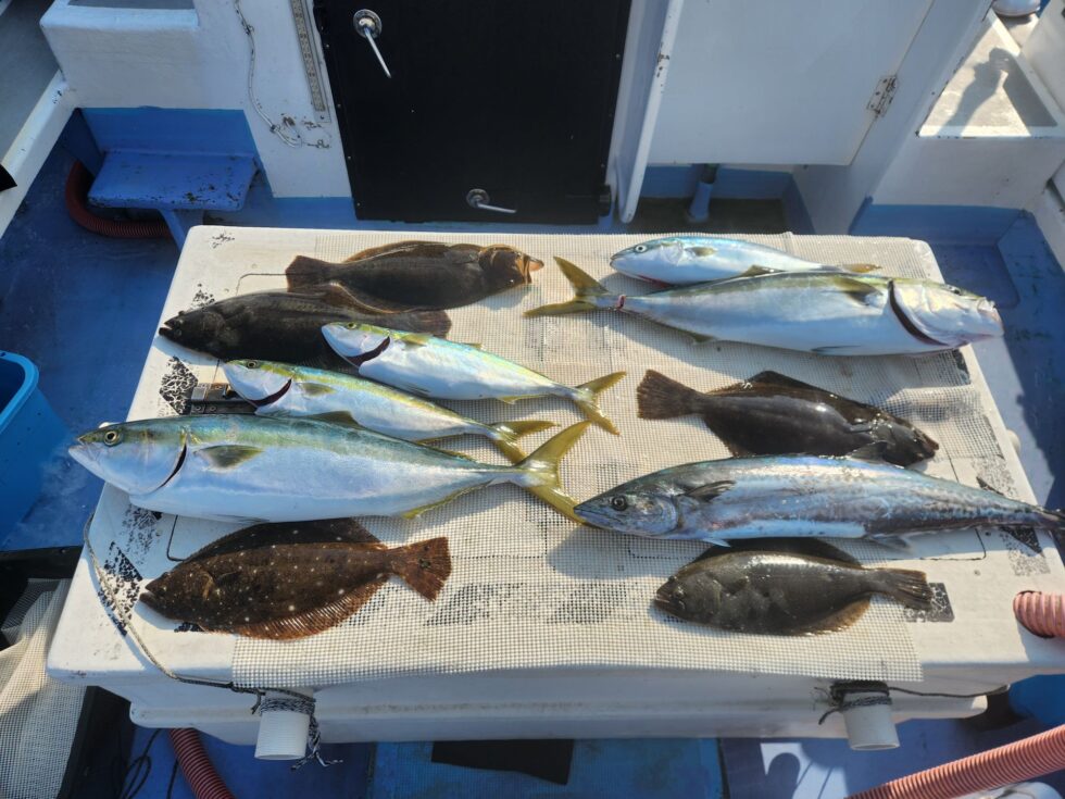 泳がせ釣り好調ー!