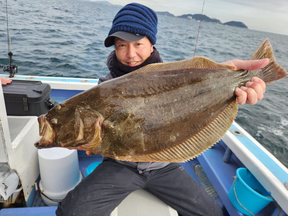 イワシ泳がせ船、連日の肉厚ヒラメ!