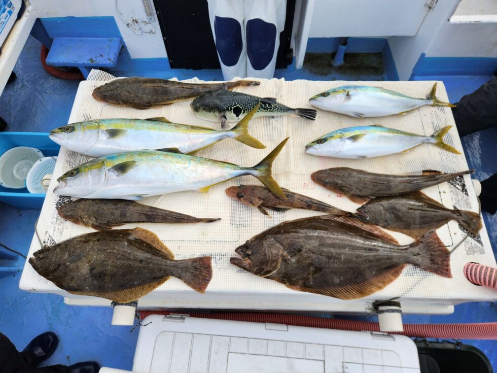 明日(日)泳がせ出船確定です、朝の飛び入りOKですよ