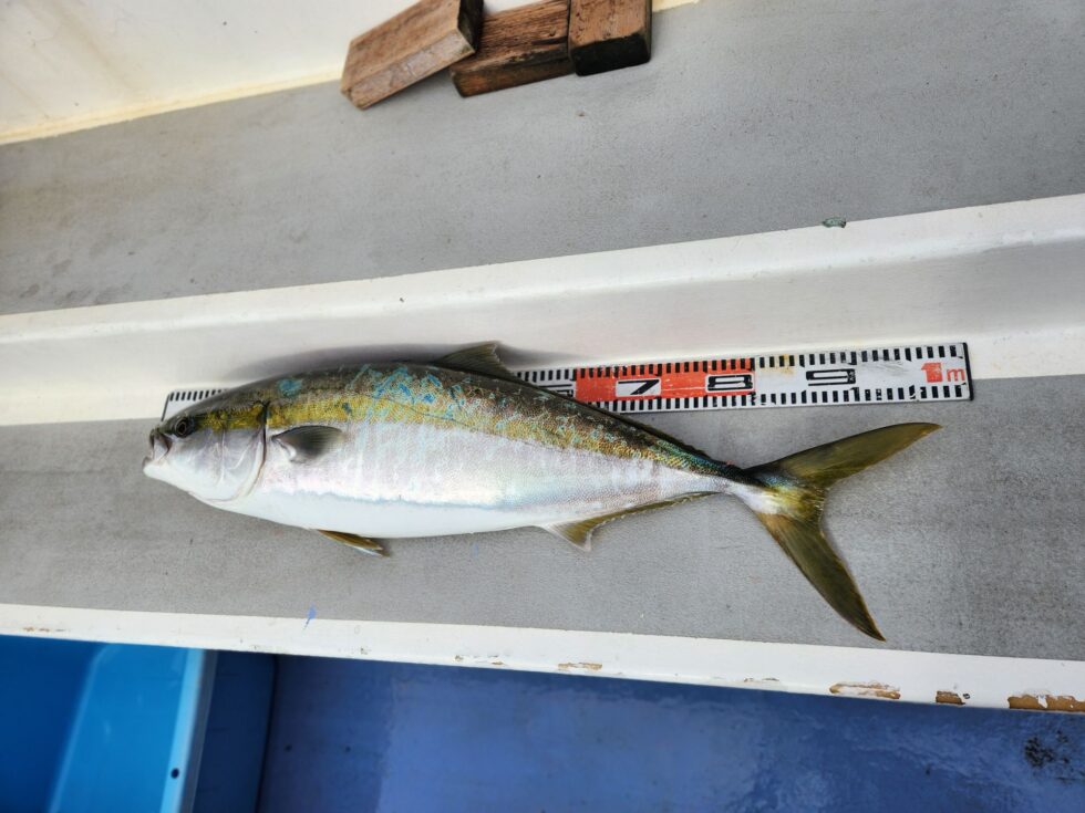 レンタルタックルで98㎝9kgゲット!